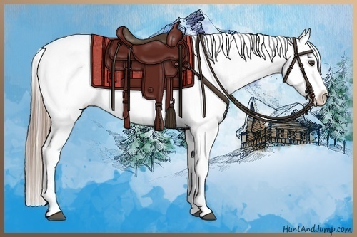 Horse Color:Liver Chestnut Appaloosa 