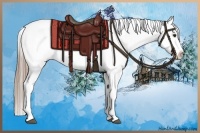 Horse Color:Liver Chestnut Appaloosa