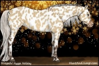 Horse Color:Silver Bay Dun Near Leopard 