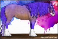 Horse Color:Watercolor Bay Roan Splash 