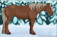 Horse Color:Chestnut Sabino