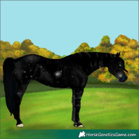 Horse Color:ERROR: UNKNOWN ANOMALY