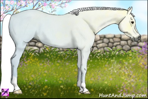 Horse Color:Gray Bay Ice Roan 