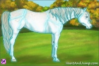 Horse Color:Thunderstruck White Spotted Smoky Creme Sabino
