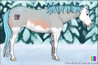 Horse Color:Watercolor Buckskin Splash