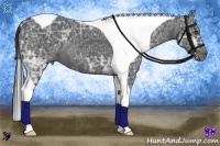 Horse Color:Black Ice Tobiano 