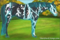 Horse Color:Thunderstruck White Spotted Black Frame