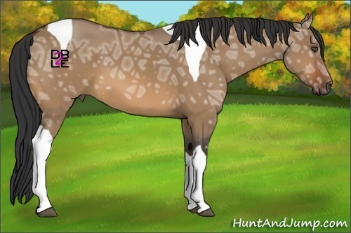 Horse Color:Bay Ice Dun Tobiano 
