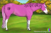 Horse Color:Watercolor Chestnut Splash 