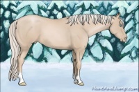 Horse Color:Palomino Pearl 