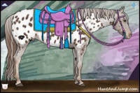 Horse Color:Liver Chestnut Sabino Blanket Rabicano