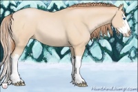Horse Color:Buckskin Pearl Sabino Splash