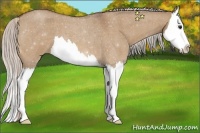 Horse Color:Silver Bay Roan Dun Splash