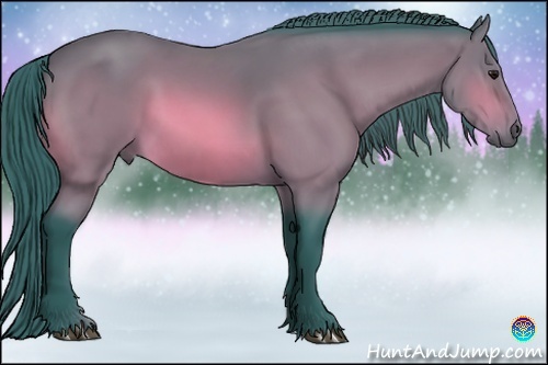 Horse Color:Watercolor Bay 