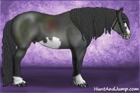 Horse Color:Black Frame 