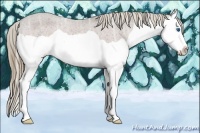Horse Color:Liver Chestnut Ice Splash Varnish 