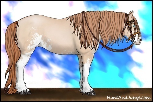 Horse Color:Buckskin Pearl Sabino 