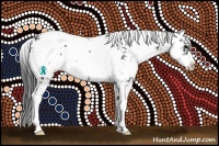 Horse Color:Black Sabino 