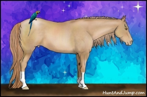 Horse Color:Chestnut Pearl 