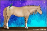Horse Color:Chestnut Pearl 