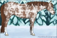 Horse Color:Chestnut Ice 