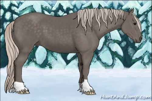 Horse Color:Silver Black 
