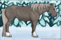 Horse Color:Silver Black