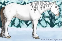 Horse Color:Plaid  White Spotted Bay 