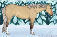 Horse Color:Silver Bay Dun