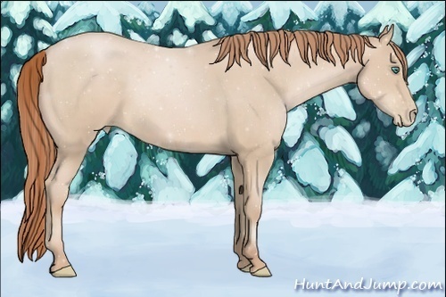 Horse Color:Smoky Black Pearl 