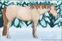 Horse Color:Smoky Black Pearl