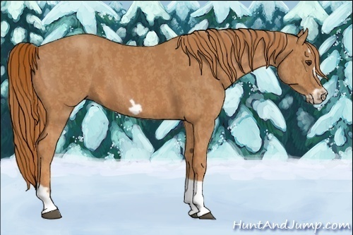 Horse Color:Chestnut Splash Frame  Brindle