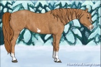 Horse Color:Chestnut Splash Frame Brindle