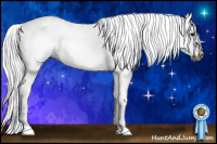 Horse Color:Gray Silver Bay Sabino