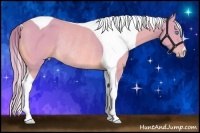 Horse Color:Watercolor Perlino Tobiano Rabicano 