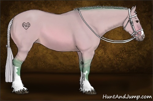 Horse Color:Watercolor Silver Bay Dun