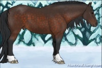Horse Color:Brown 