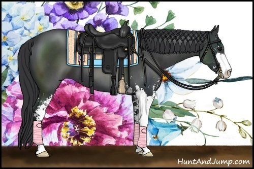 Horse Color:Black Sabino 