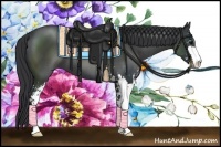 Horse Color:Black Sabino 