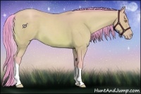Horse Color:Watercolor Amber Champagne Tobiano 