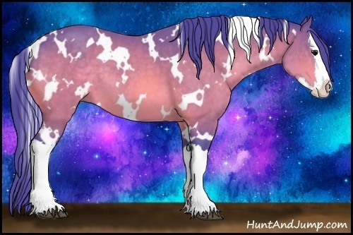 Horse Color:Watercolor White Spotted Bay Splash 