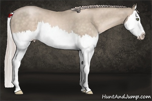 Horse Color:Chocolate Palomino Pearl Splash 