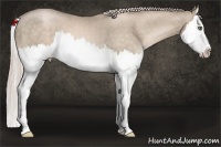 Horse Color:Chocolate Palomino Pearl Splash