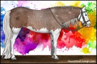 Horse Color:Silver Bay Roan Splash 