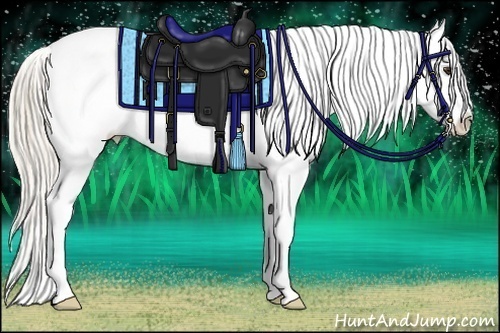 Horse Color:Palomino Splash Appaloosa 