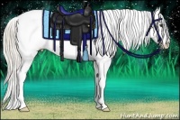 Horse Color:Palomino Splash Appaloosa 