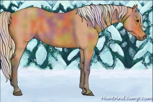 Horse Color:Nacre Silver Bay 