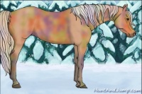 Horse Color:Nacre Silver Bay 