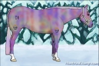 Horse Color:Nacre Watercolor Silver Bay 