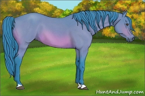 Horse Color:Watercolor Bay Roan 